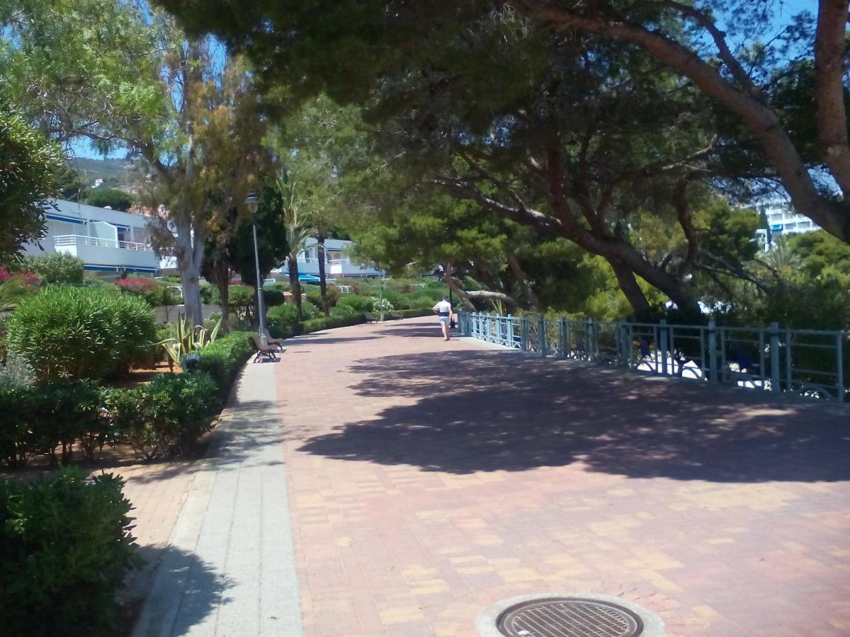 Apartamentos Alcossebre "El Faro Apartaments Alcossebre" Piscina, Playa Y Diversion المظهر الخارجي الصورة